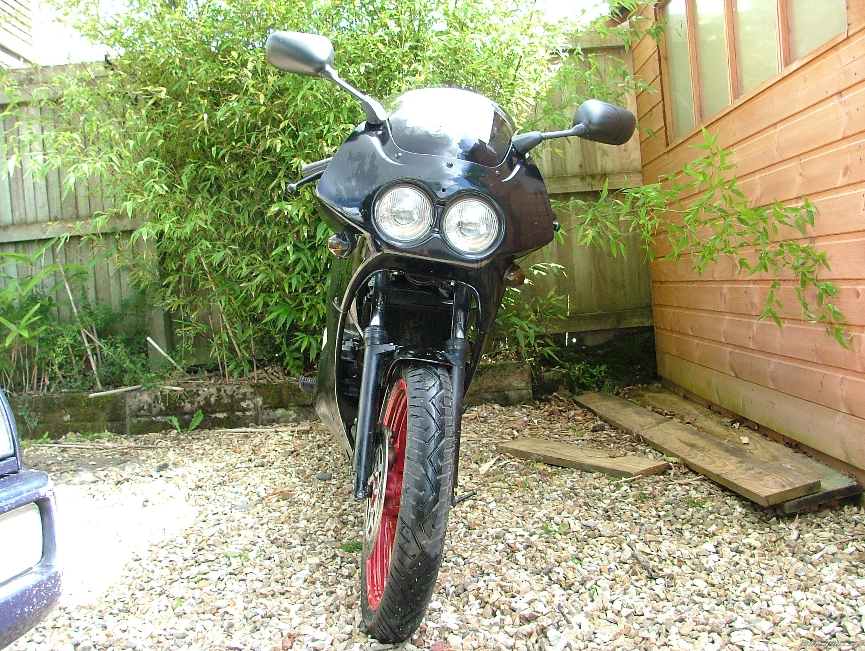 Photo 1005908