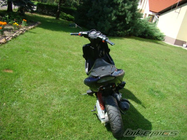 Photo 1005915