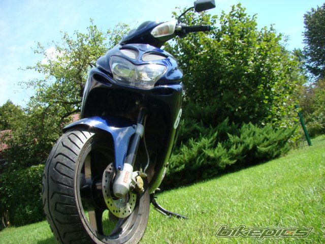 Photo 1005917