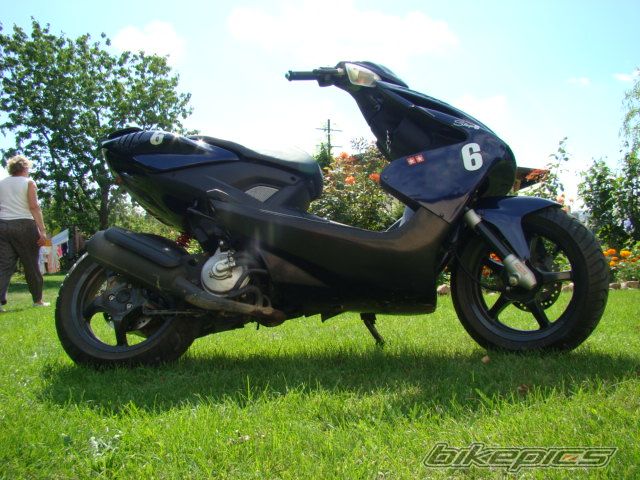 Photo 1005919