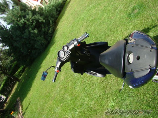 Photo 1005920