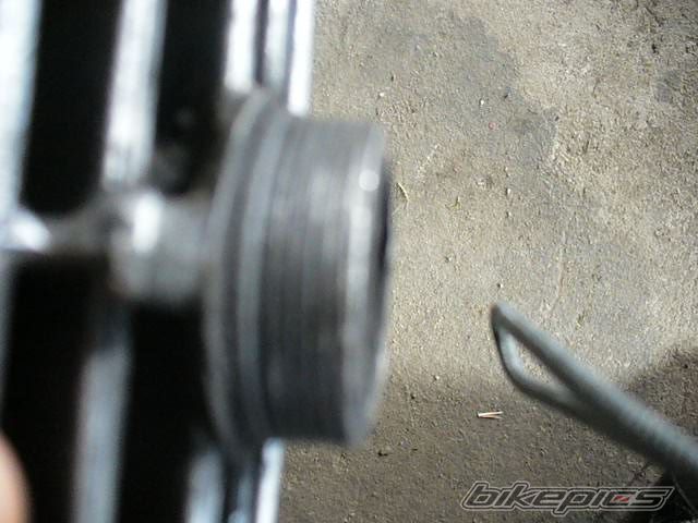 Photo 1005928