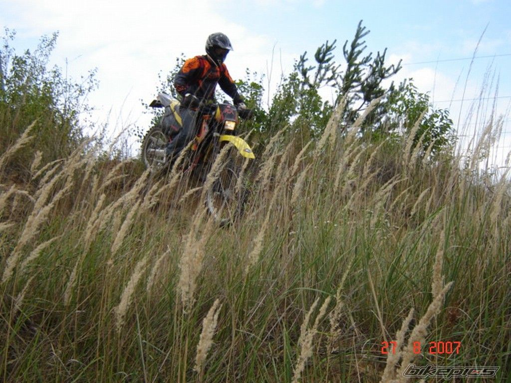 Photo 1006021
