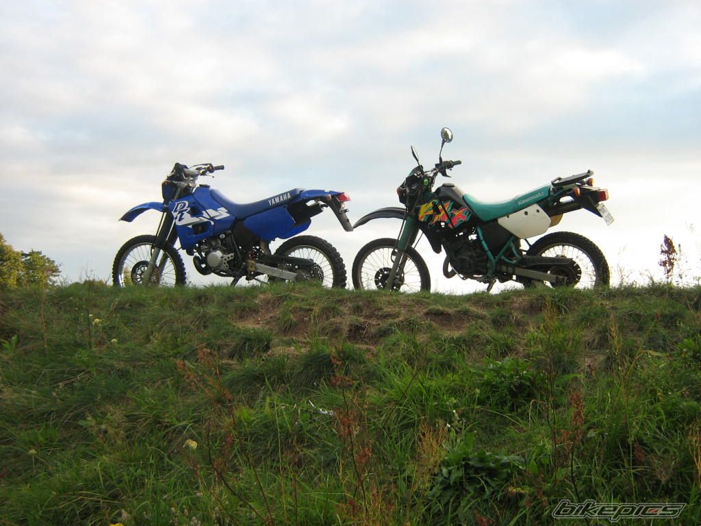 Photo 1006051