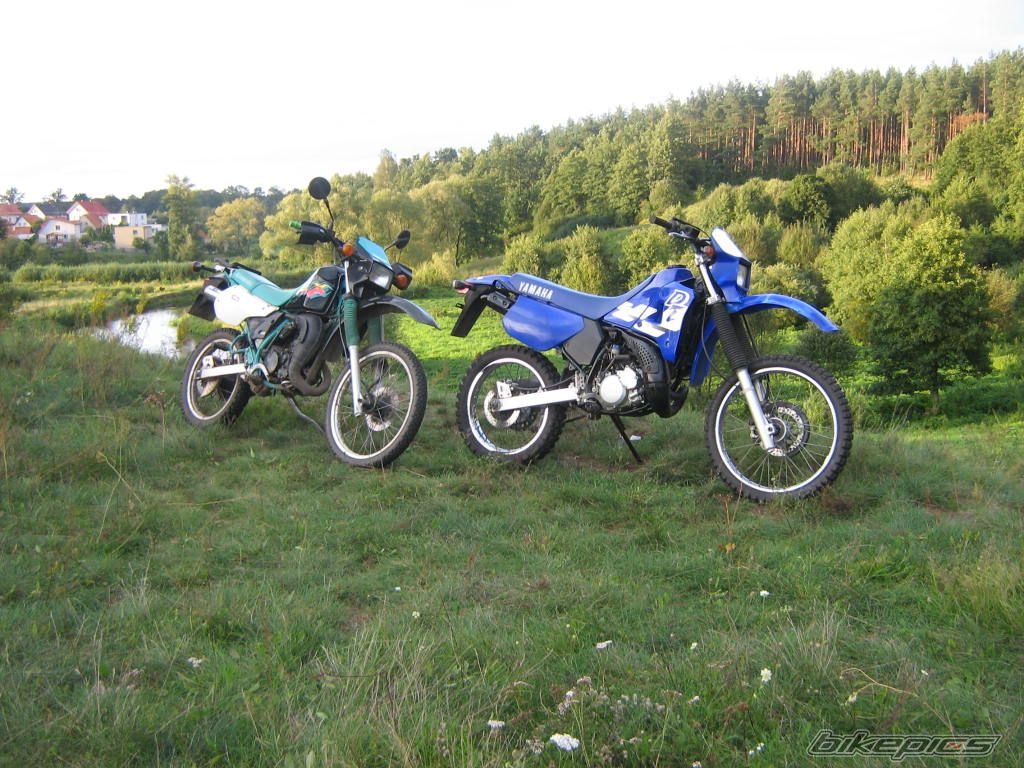 Photo 1006053