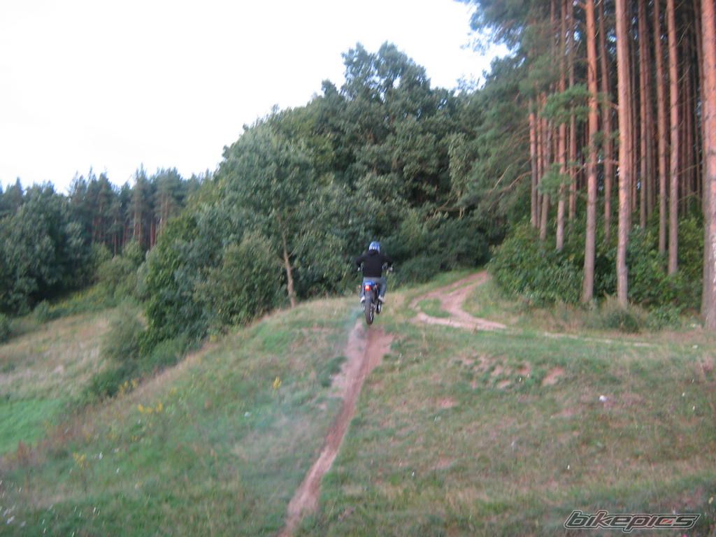 Photo 1006054