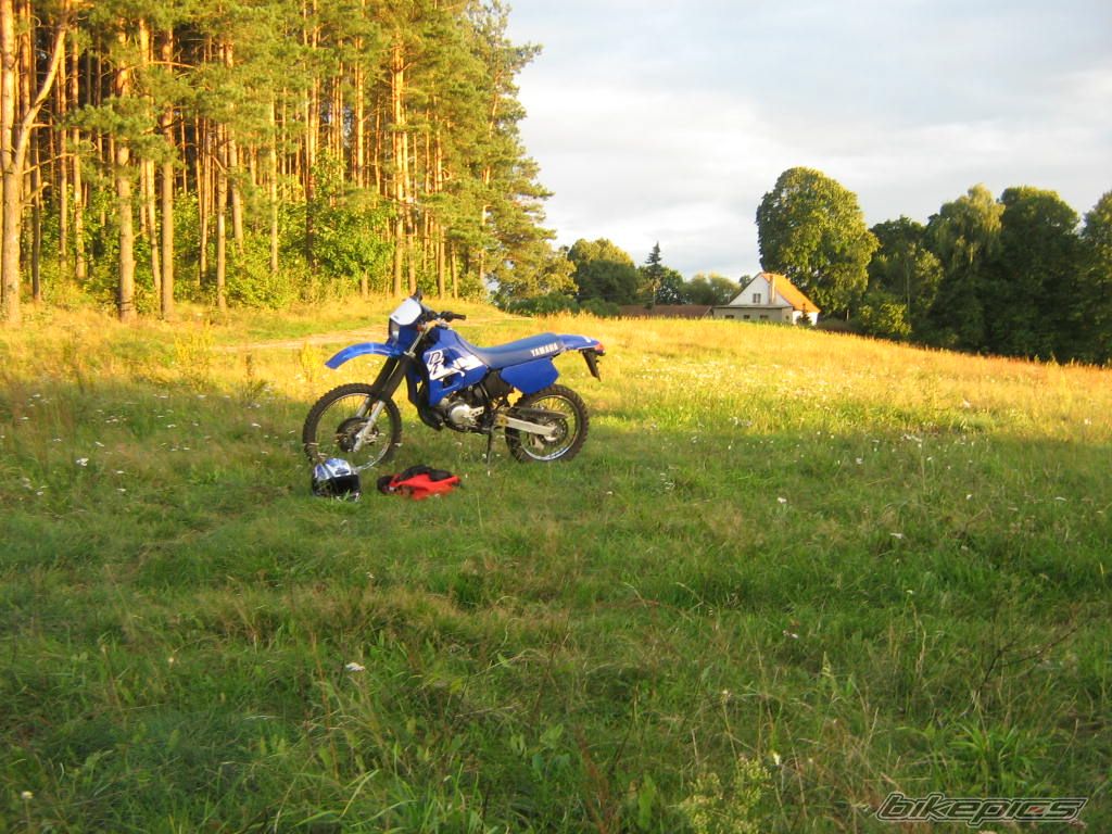 Photo 1006056