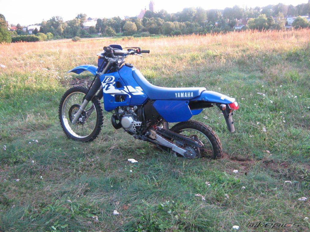 Photo 1006057