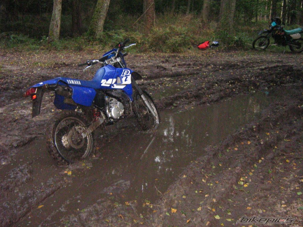 Photo 1006059