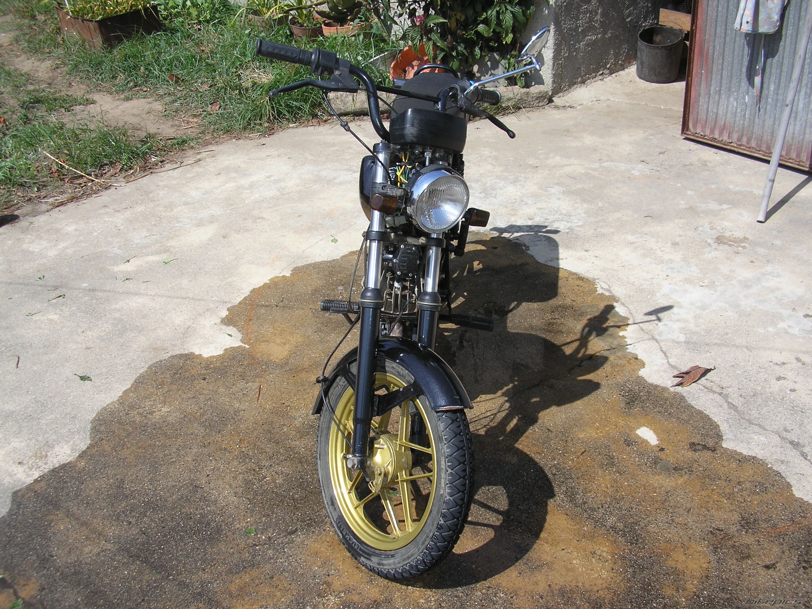 Photo 1006099
