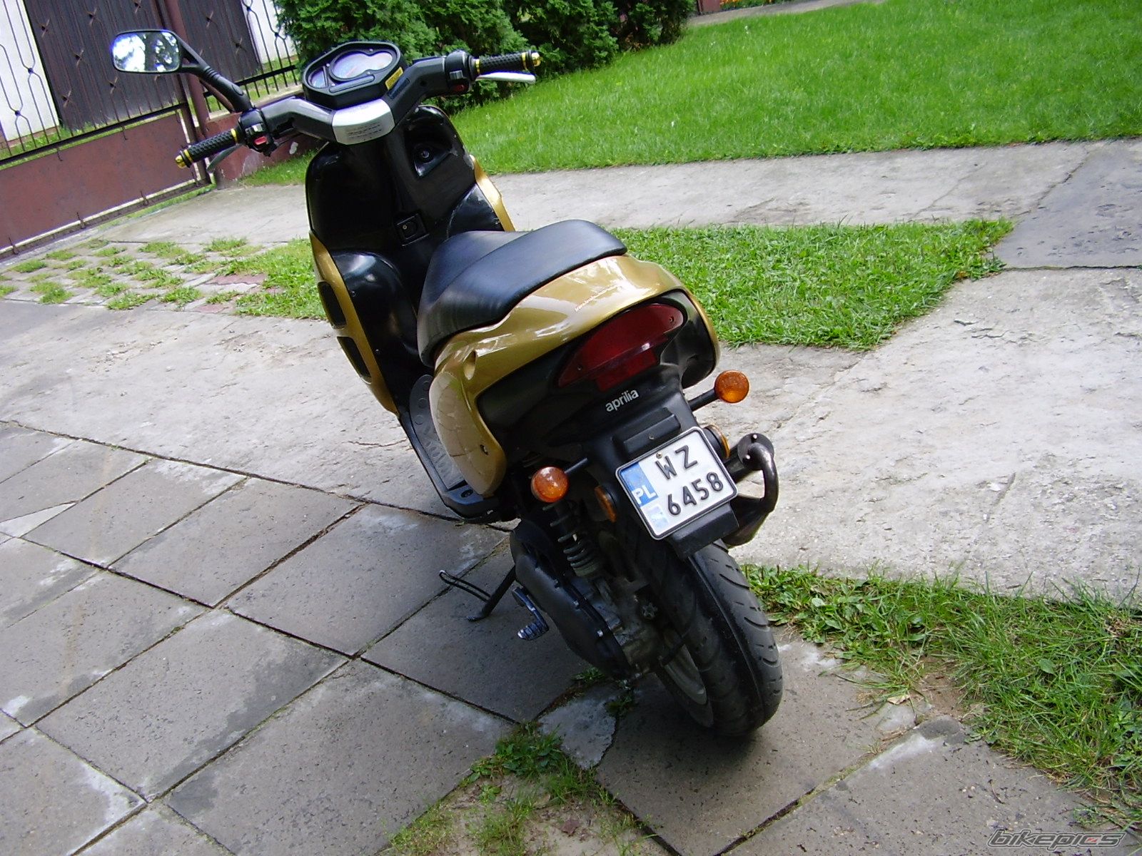 Photo 1006110