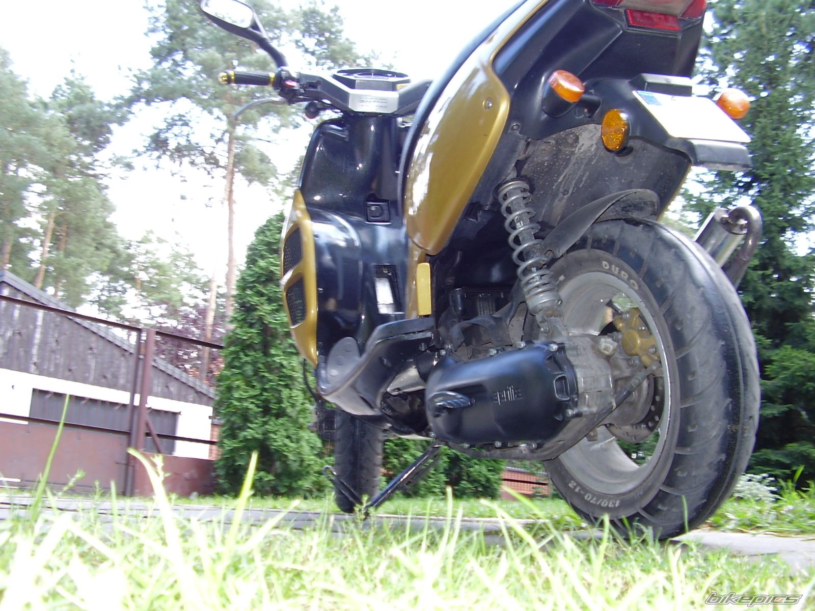 Photo 1006113