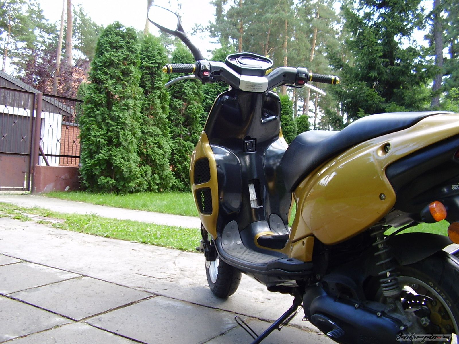 Photo 1006114