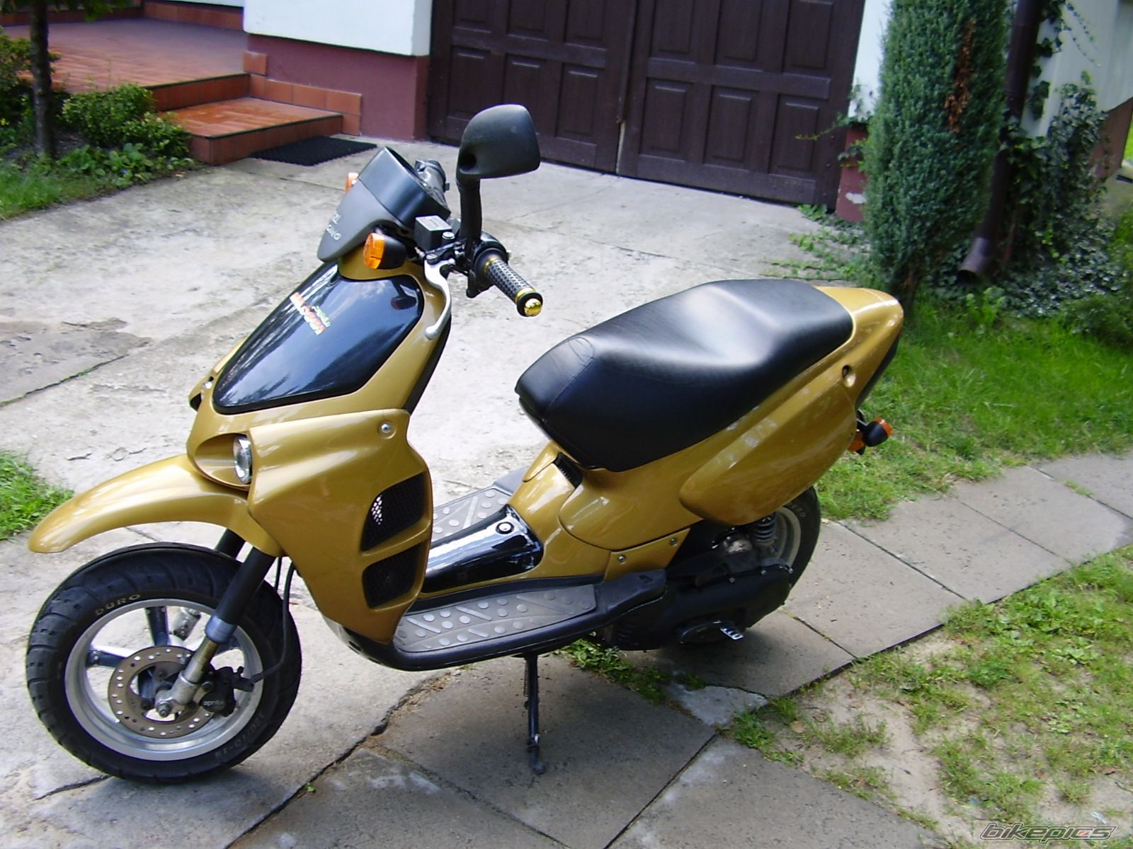 Photo 1006115