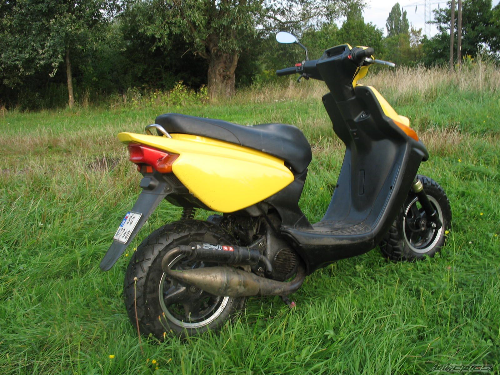 Photo 1006157