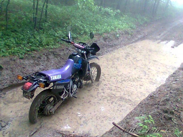 Photo 1006185