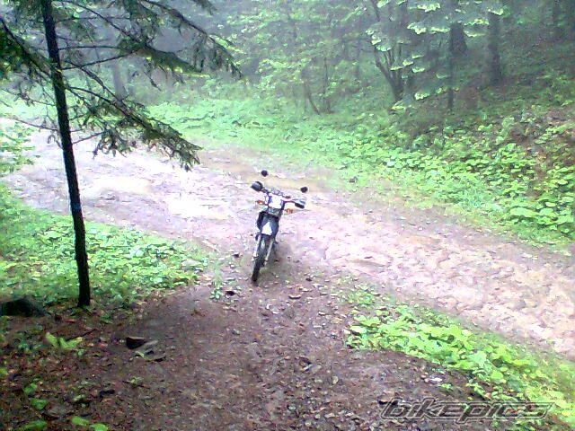 Photo 1006187