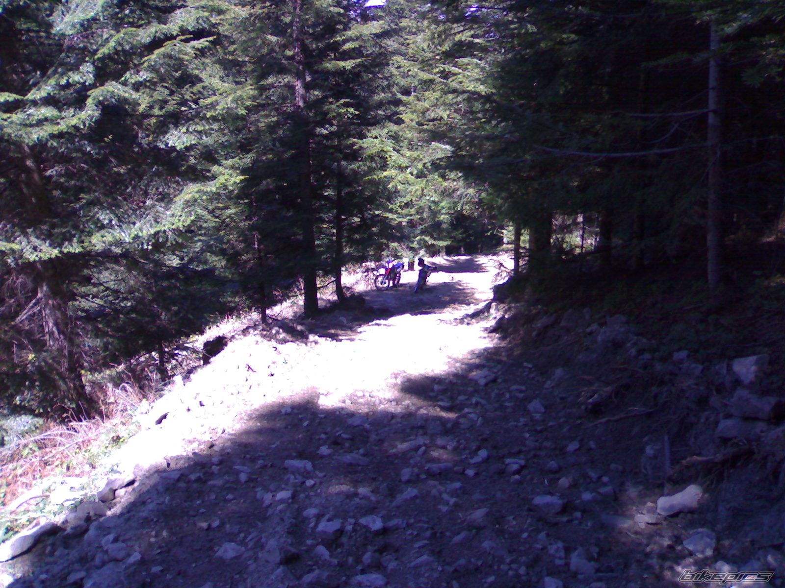 Photo 1006188