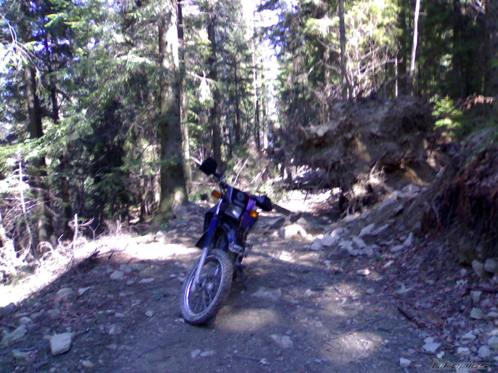 Photo 1006190