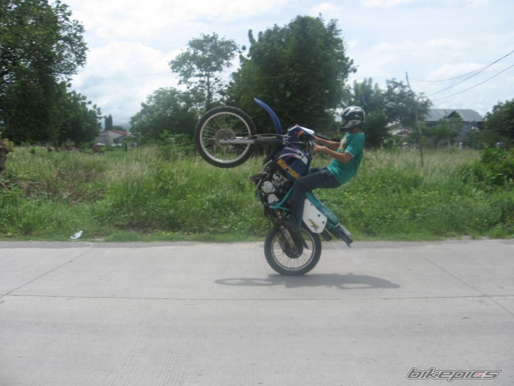 Photo 1006264