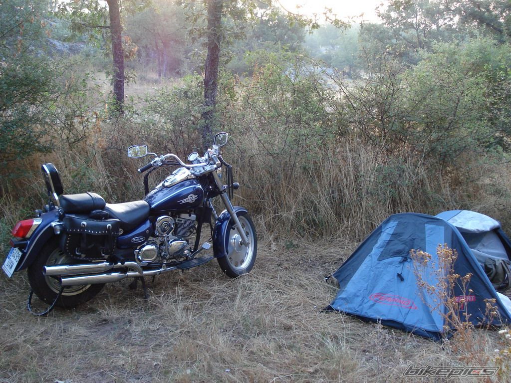Photo 1006274