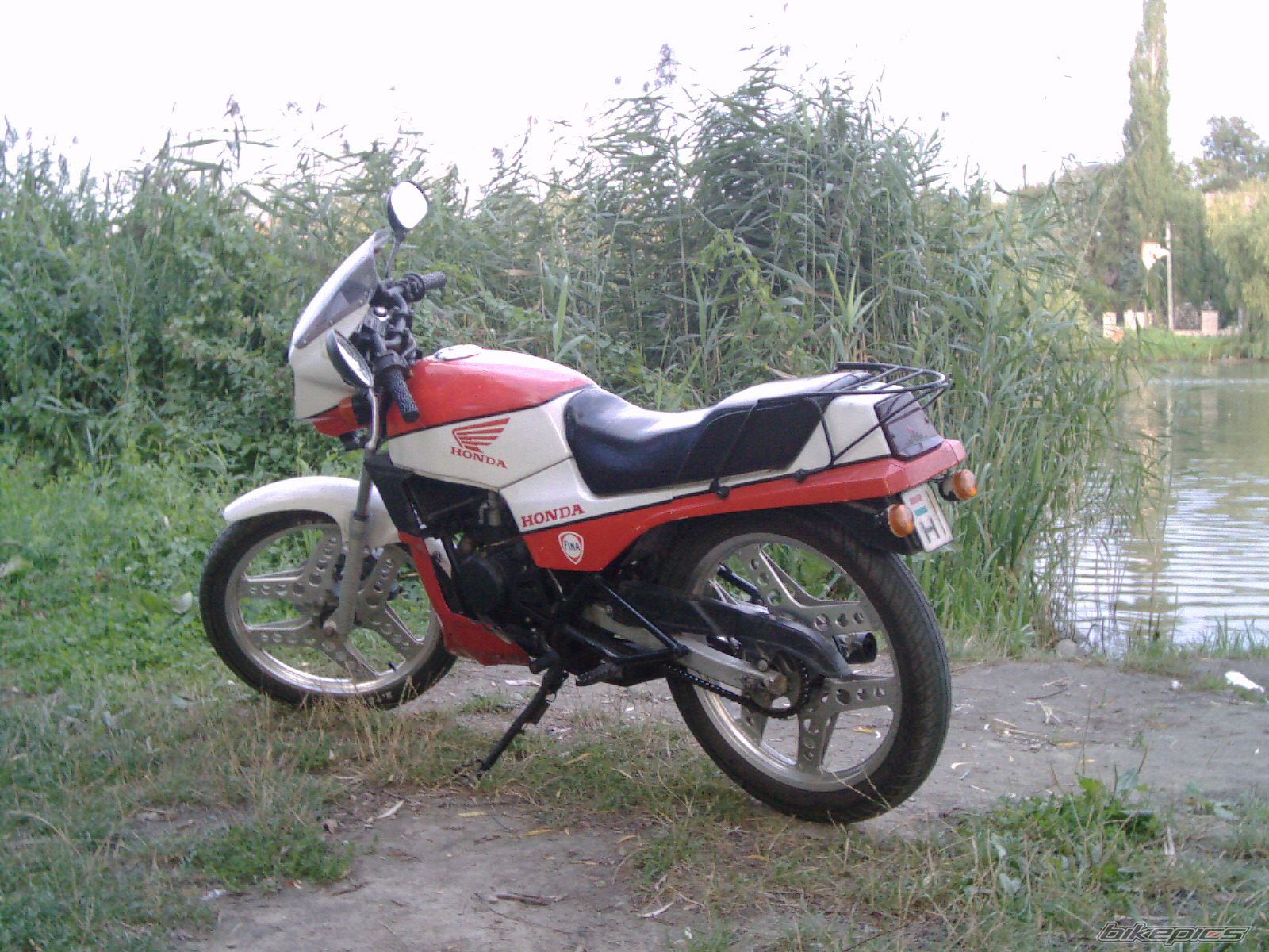 Photo 1006299