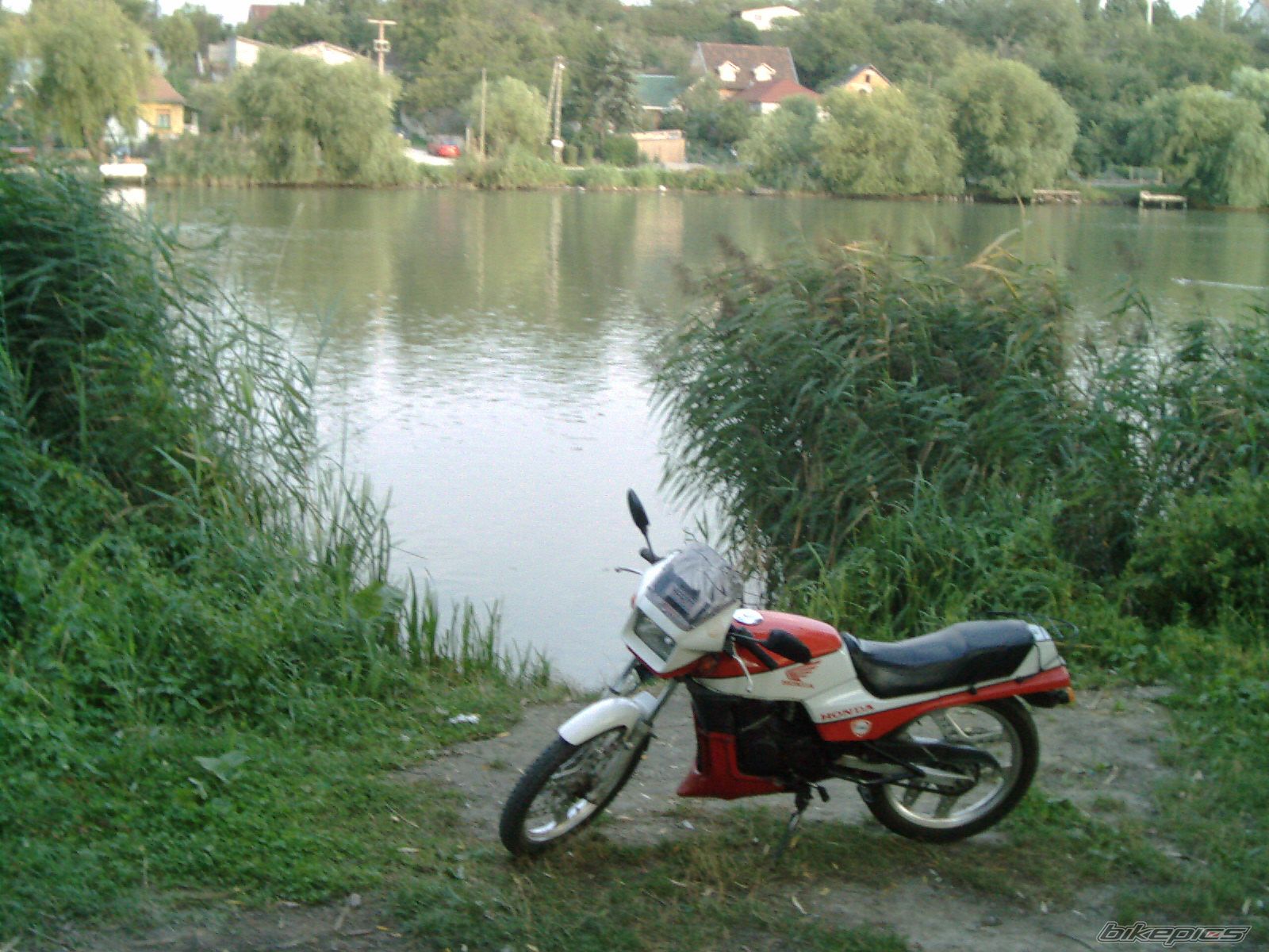 Photo 1006304