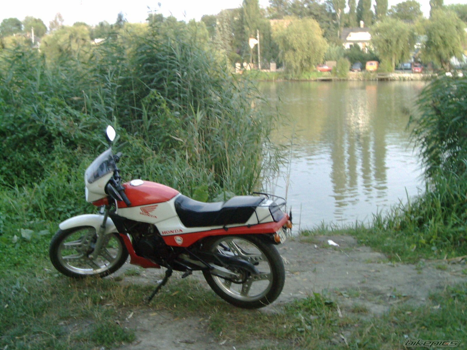 Photo 1006305