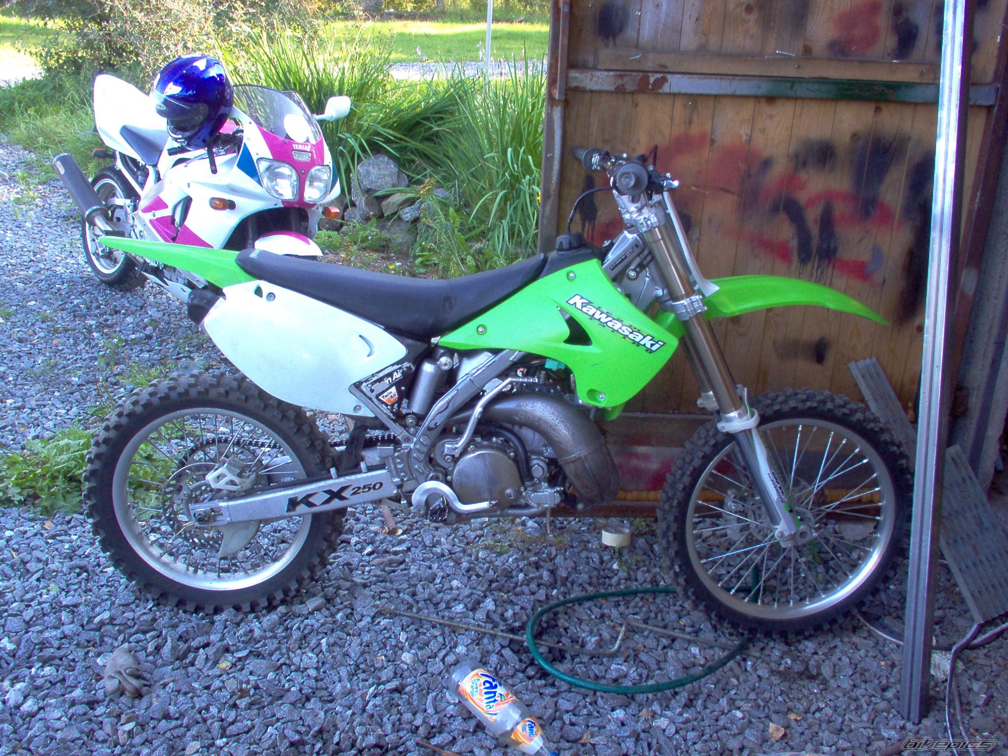Photo 1006323