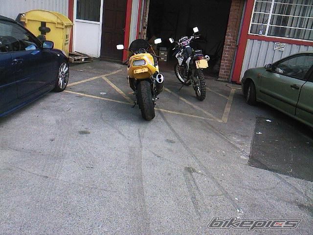 Photo 1006343