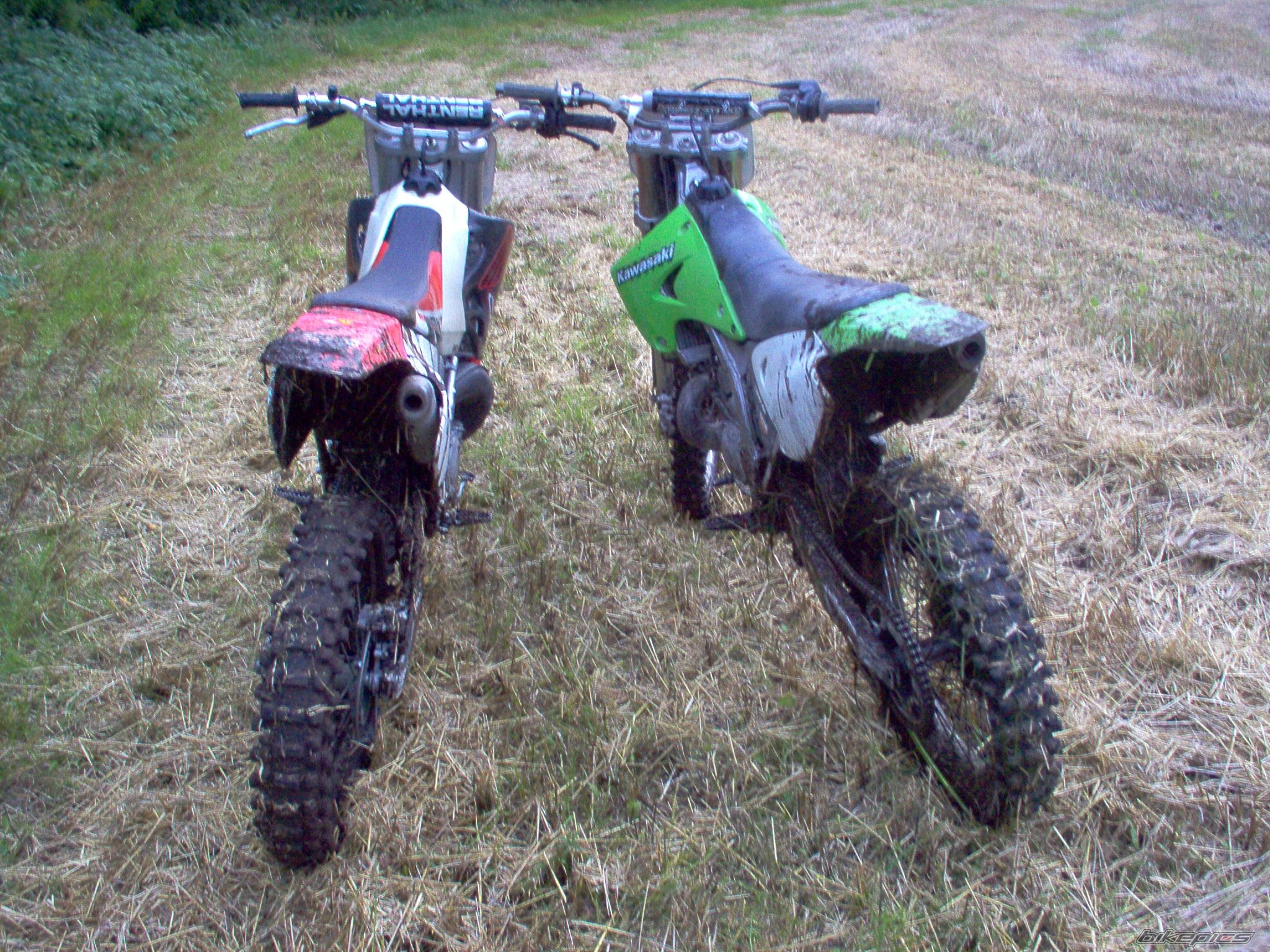 Photo 1006347