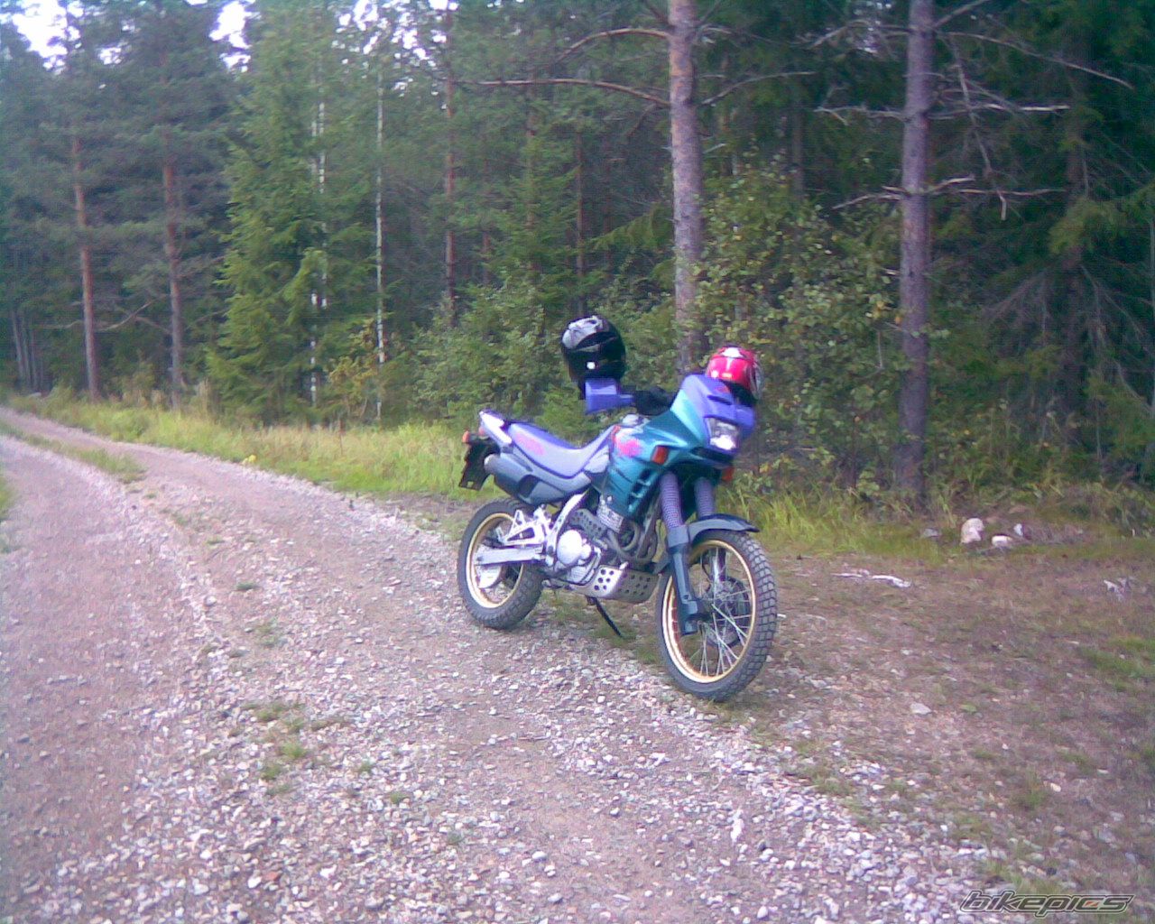 Bike Photo 1006369