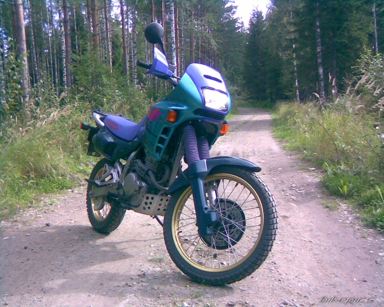 Bike Photo 1006375