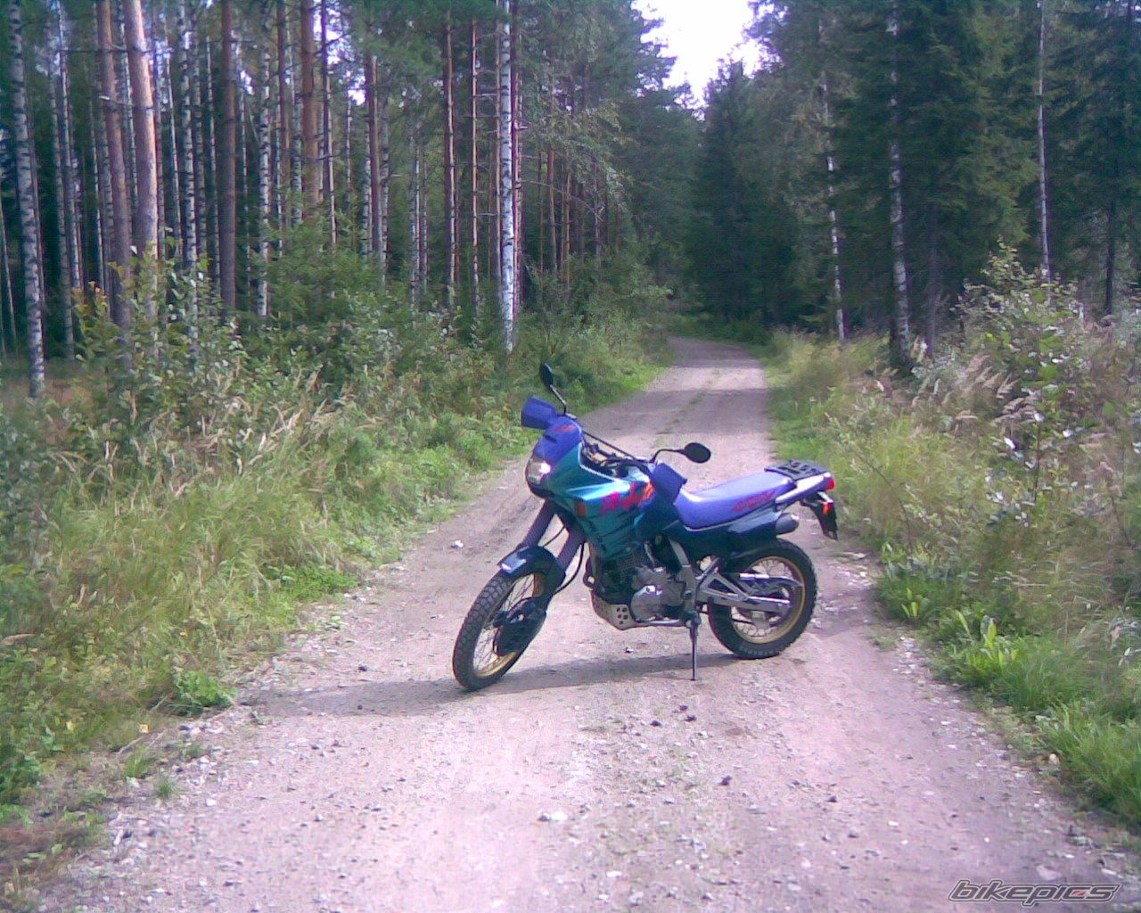 Bike Photo 1006376