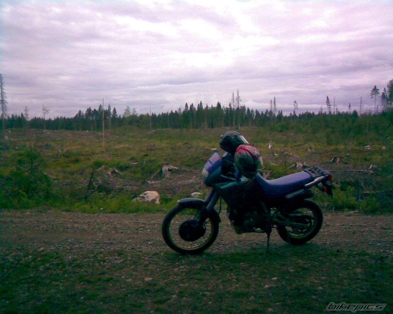 Bike Photo 1006383