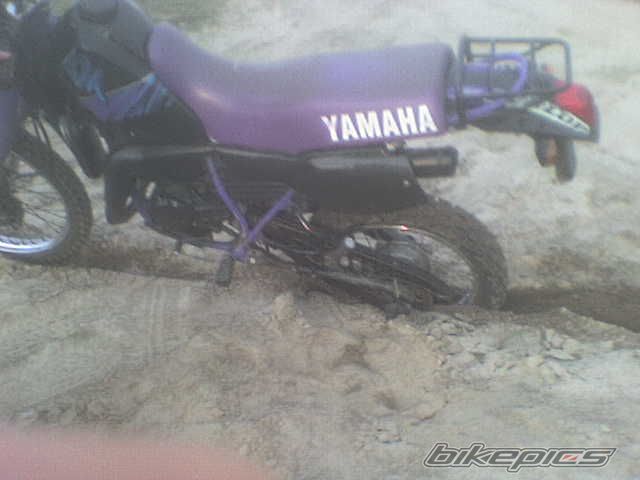 Photo 1006439