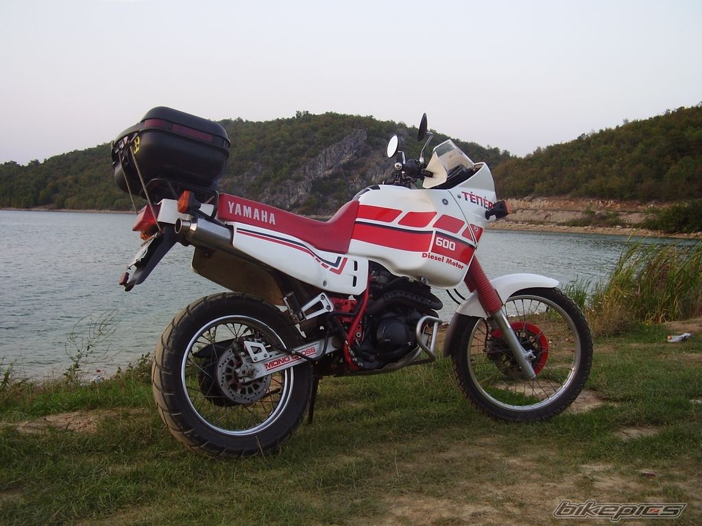 Bike Photo 1006453