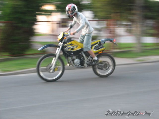 Photo 1006455