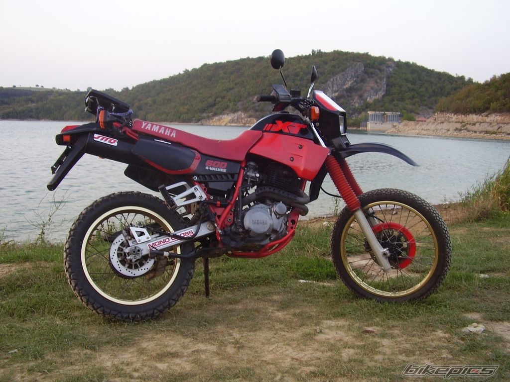 Photo 1006469