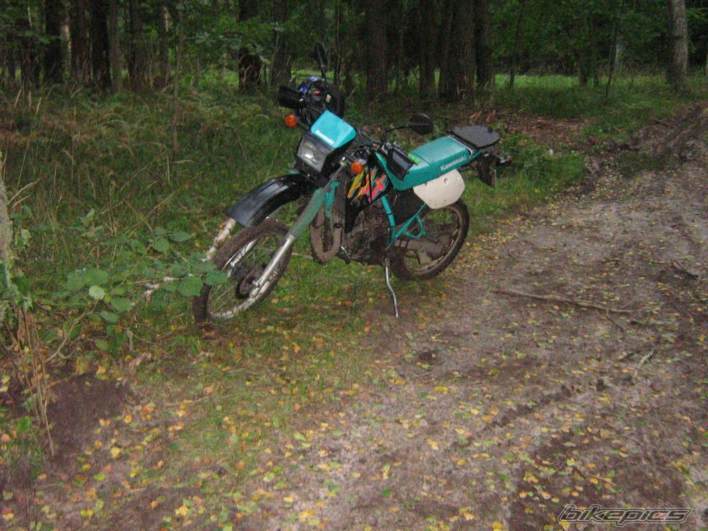 Bike Photo 1006477