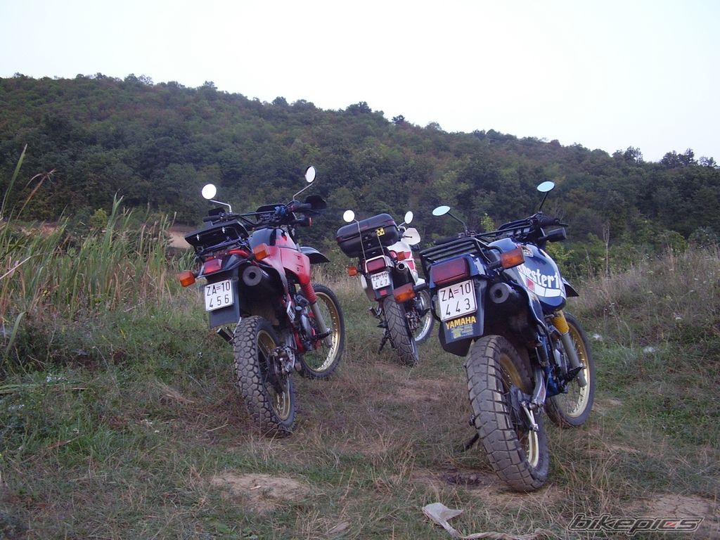 Bike Photo 1006486