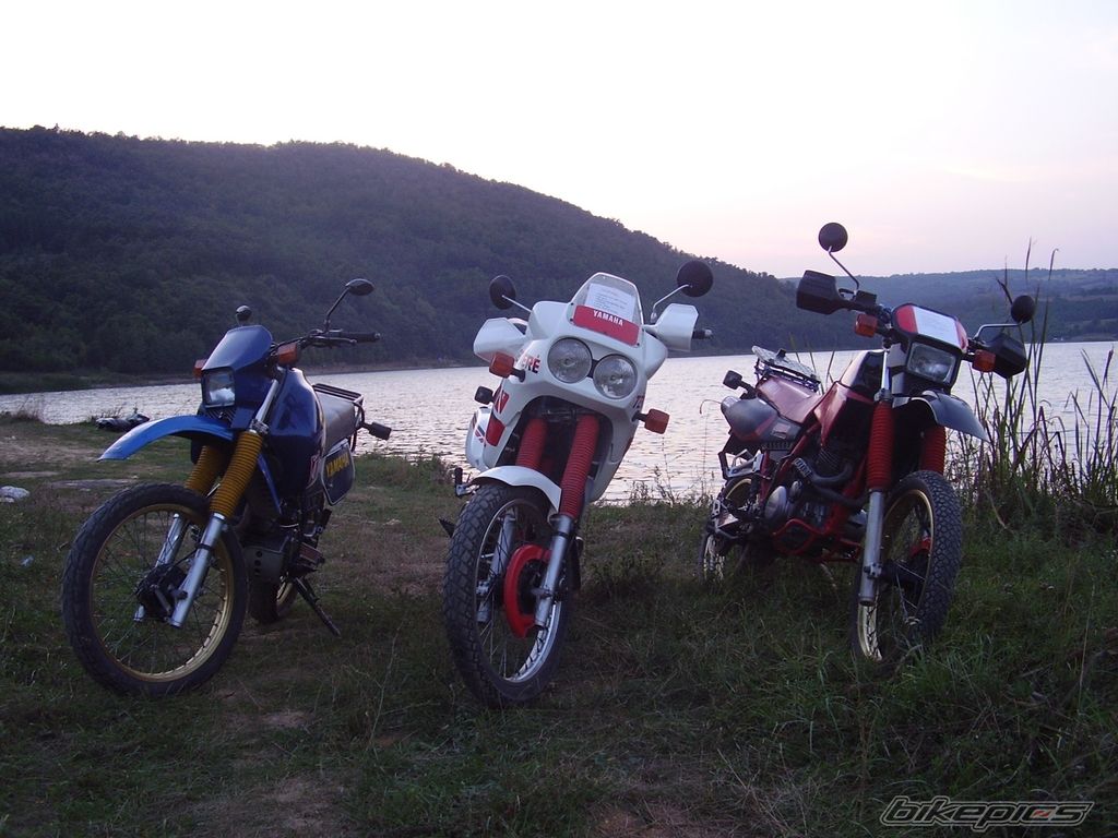Bike Photo 1006489
