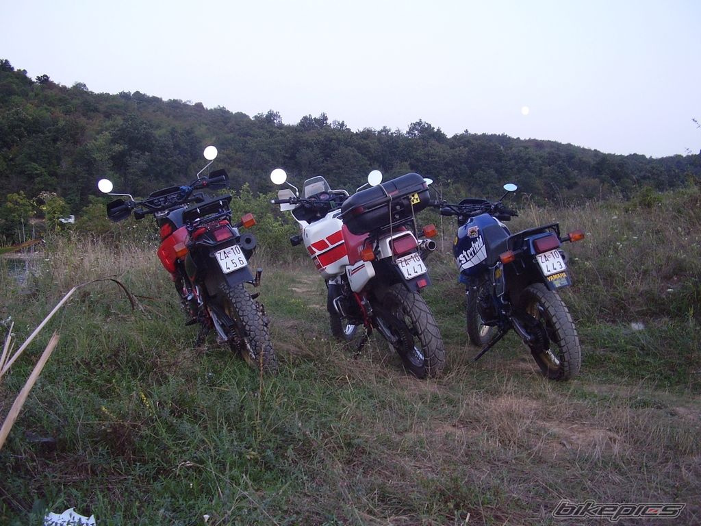 Bike Photo 1006492