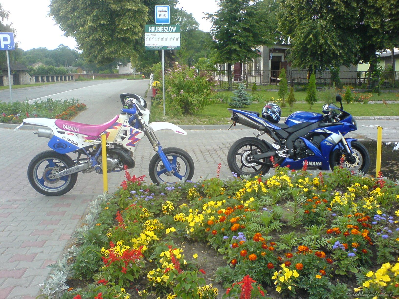 Photo 1006505
