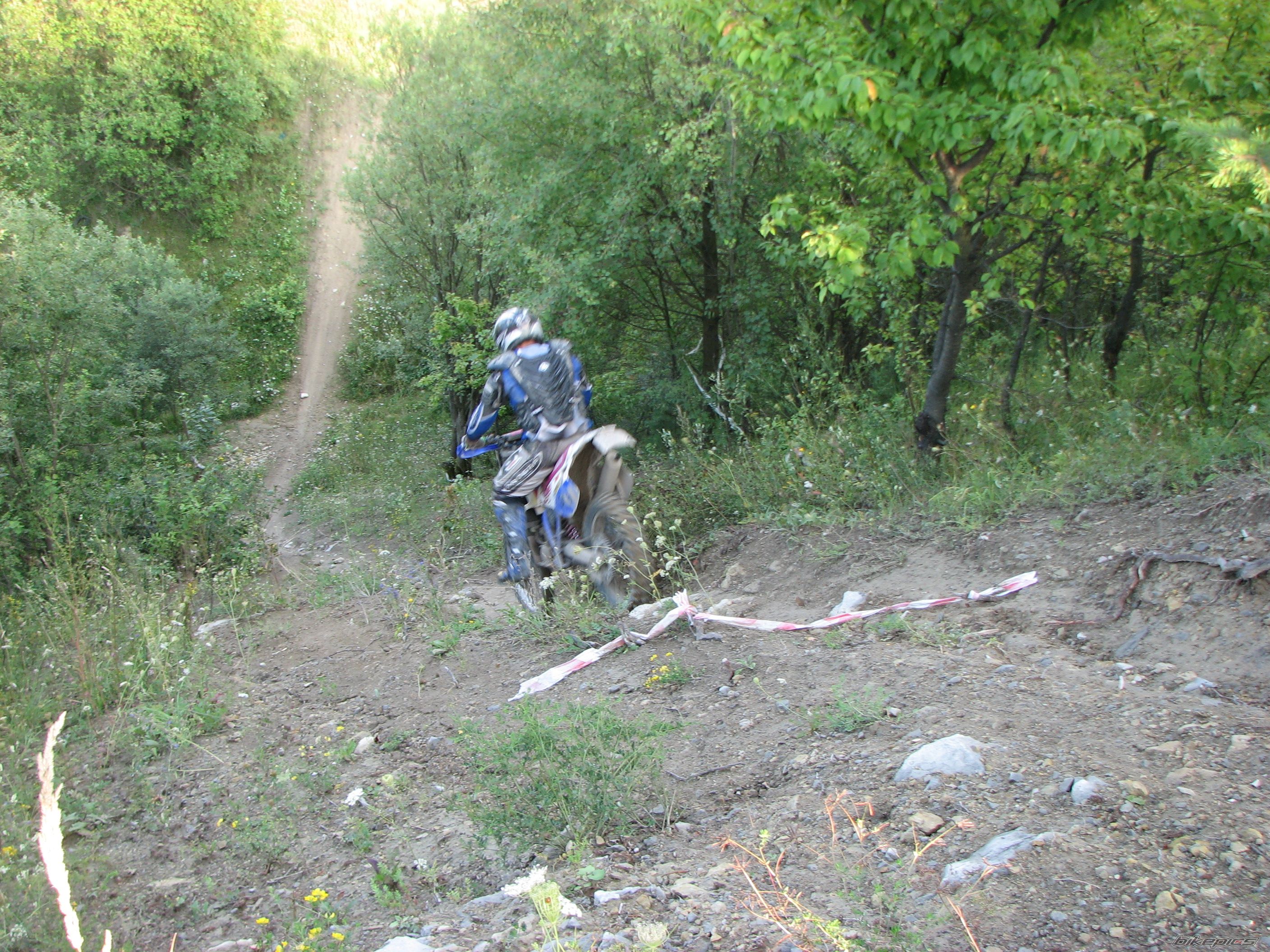 Photo 1006601