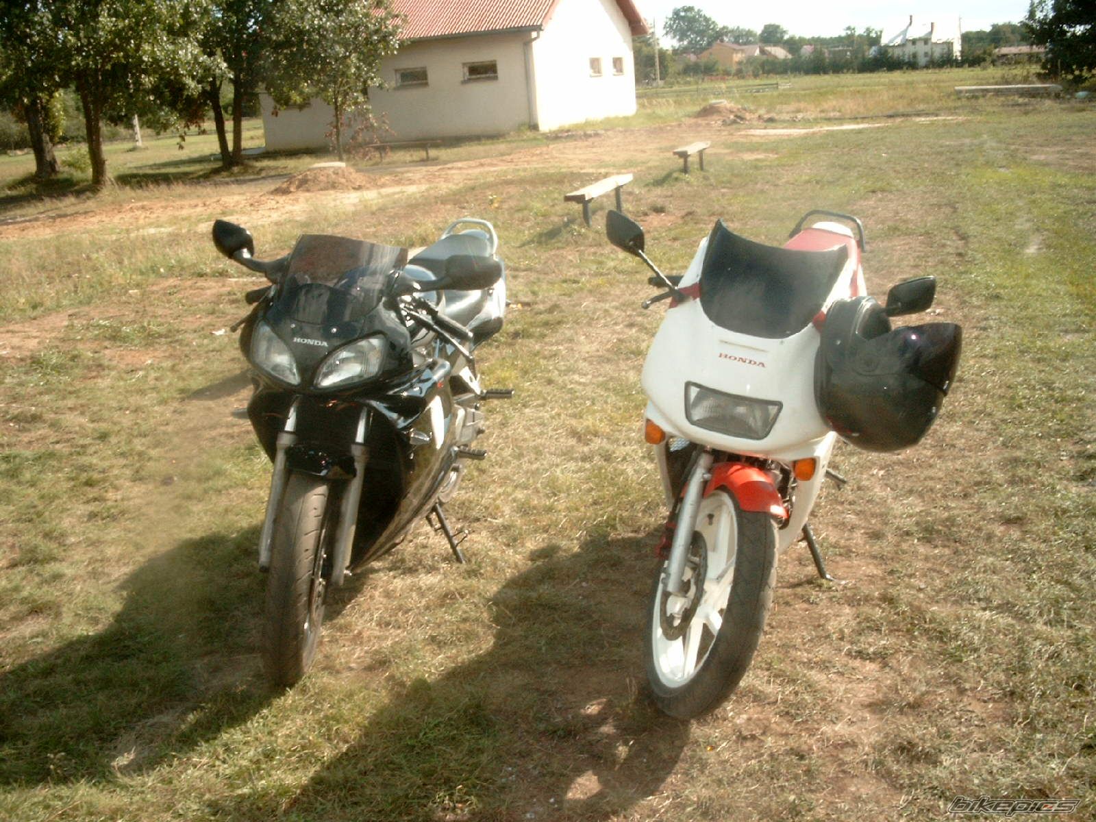 Photo 1006620