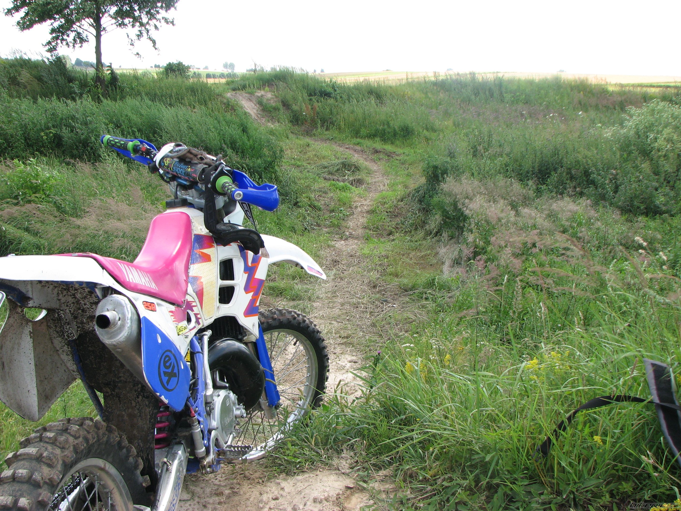 Photo 1006623