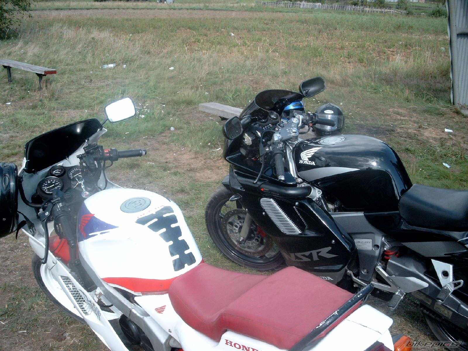 Photo 1006628