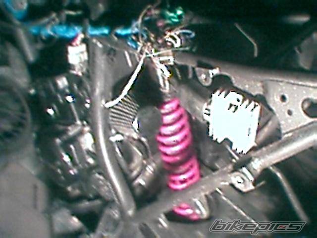 Photo 100663