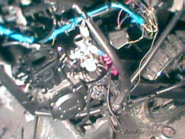 Photo 100664